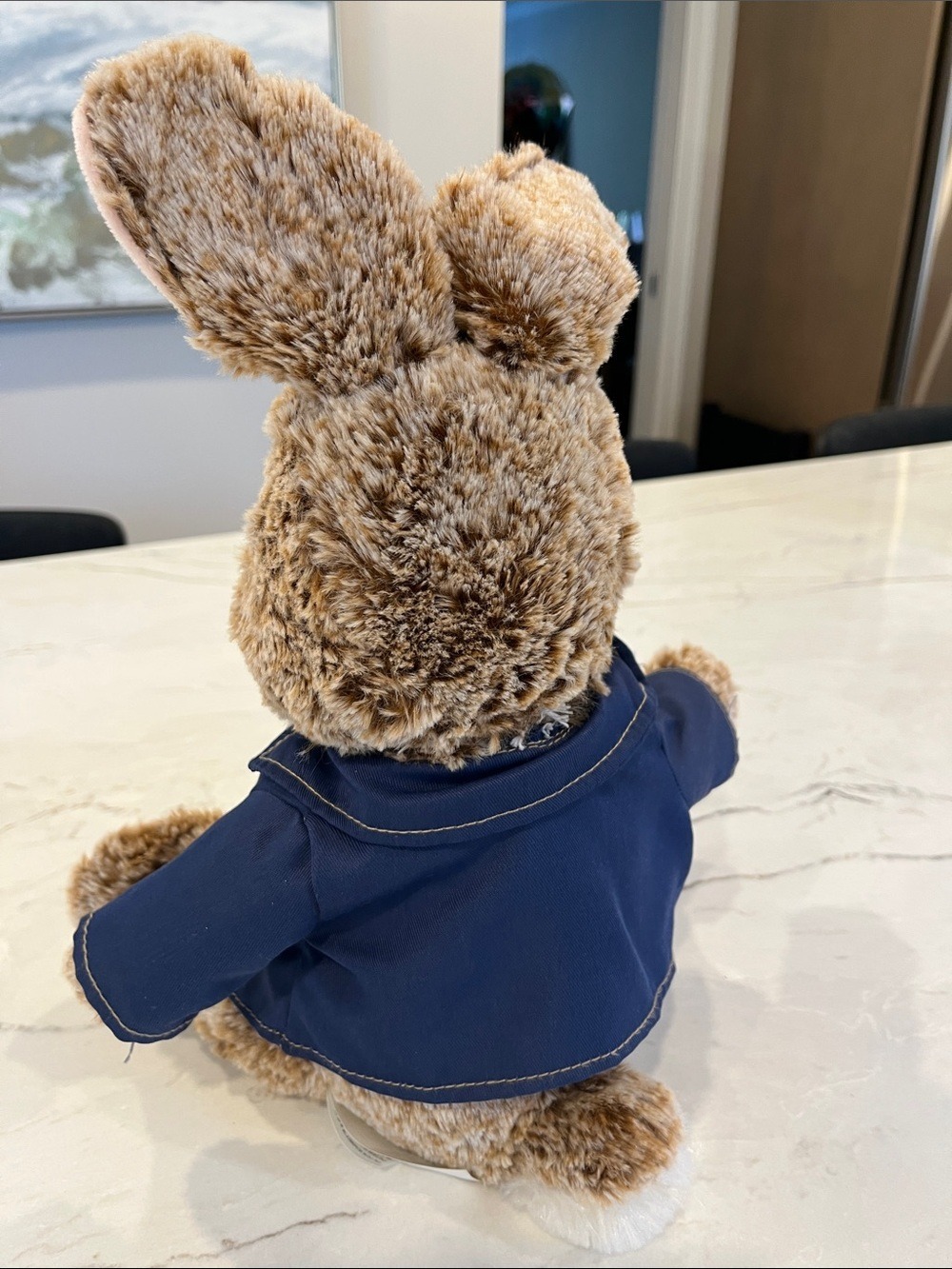 Brown & White Plush Peter Rabbit Bunny with Navy Jacket - Soft Stuffed Animal - Picture 4 of 5